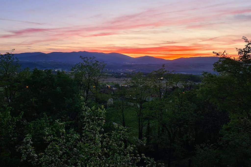 Gite De 70M² Avec Vue Sur Le Massif Du Pilat Clonas-sur-Vareze Εξωτερικό φωτογραφία