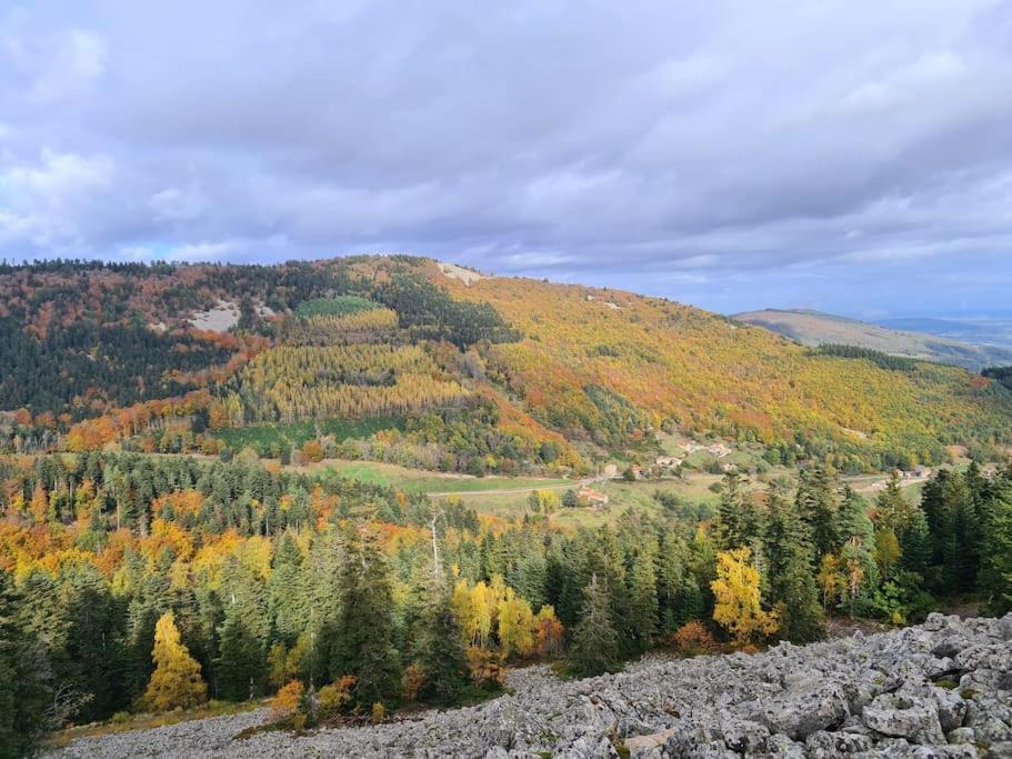 Gite De 70M² Avec Vue Sur Le Massif Du Pilat Clonas-sur-Vareze Εξωτερικό φωτογραφία