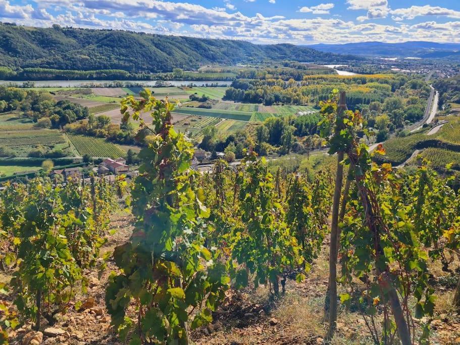 Gite De 70M² Avec Vue Sur Le Massif Du Pilat Clonas-sur-Vareze Εξωτερικό φωτογραφία