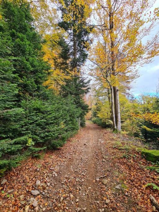 Gite De 70M² Avec Vue Sur Le Massif Du Pilat Clonas-sur-Vareze Εξωτερικό φωτογραφία