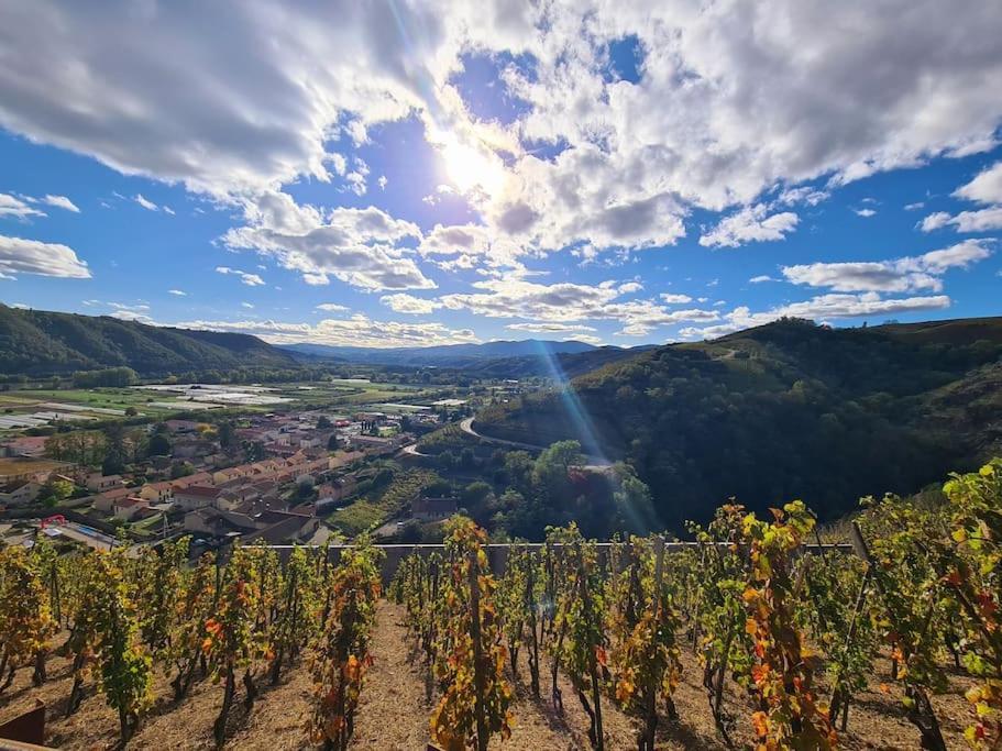 Gite De 70M² Avec Vue Sur Le Massif Du Pilat Clonas-sur-Vareze Εξωτερικό φωτογραφία