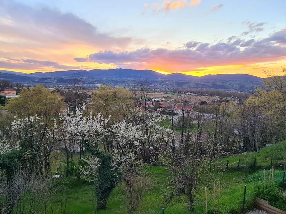Gite De 70M² Avec Vue Sur Le Massif Du Pilat Clonas-sur-Vareze Εξωτερικό φωτογραφία