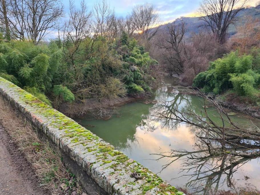 Gite De 70M² Avec Vue Sur Le Massif Du Pilat Clonas-sur-Vareze Εξωτερικό φωτογραφία
