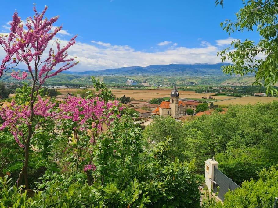 Gite De 70M² Avec Vue Sur Le Massif Du Pilat Clonas-sur-Vareze Εξωτερικό φωτογραφία